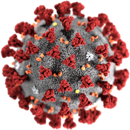Обязательные материалы по новой коронавирусной инфекции COVID-19 для всех медицинских работников