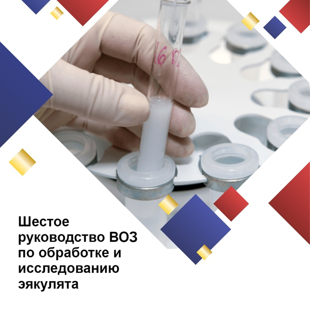 Опубликовано шестое руководство ВОЗ по обработке и исследованию эякулята